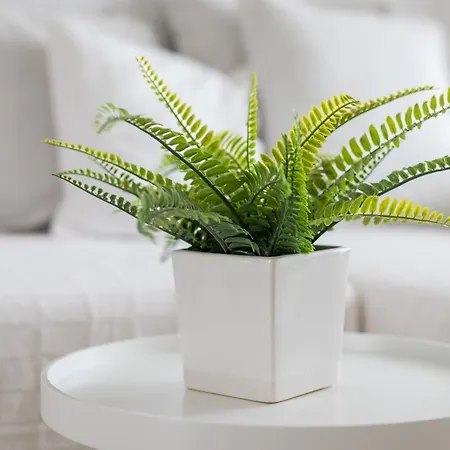 Home2book Nordic Vibes Pool & Terrace Apartment *